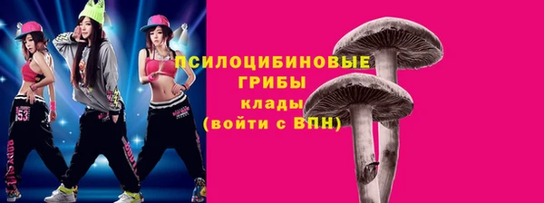 крисы Алзамай